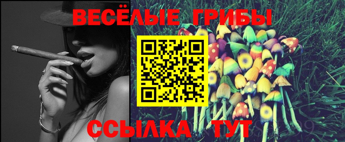 Чернушка  Псилоцибиновые грибы мицелий  Вход с VPN 