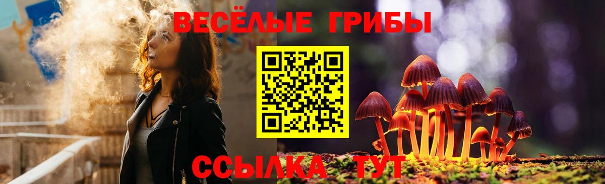 Галлюциногенные грибы GOLDEN TEACHER Чернушка