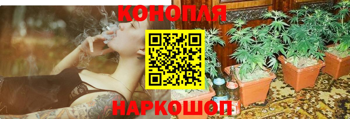 Бошки Шишки OG Kush  Канабис конопля  Вход с VPN  Чернушка  Марихуана LSD WEED  Каннабис Ganja 